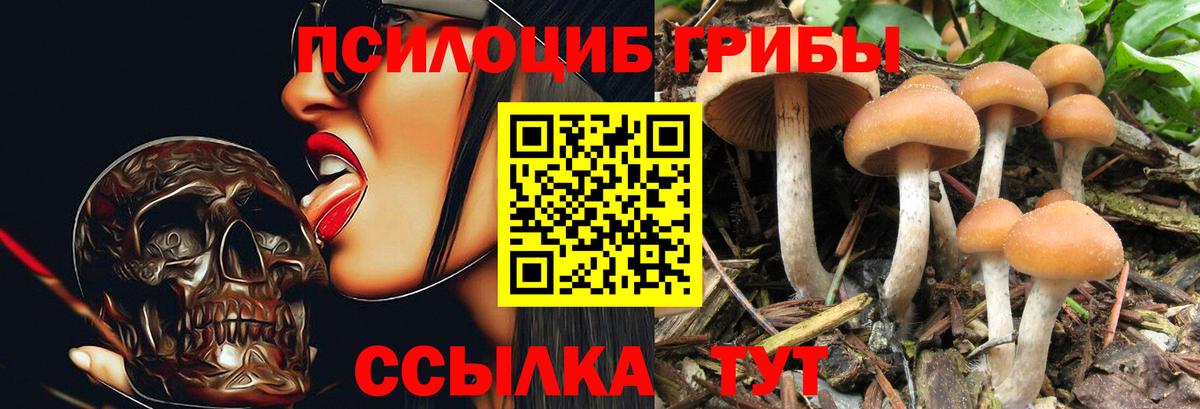 Галлюциногенные грибы Psilocybe  даркнет сайт  Ульяновск  Вход с VPN  Псилоцибиновые грибы ЛСД 